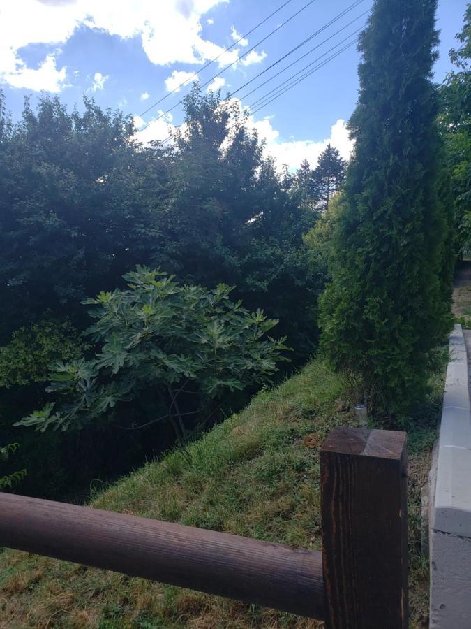 Vila Slankamenka Stari Slankamen Bagian luar foto