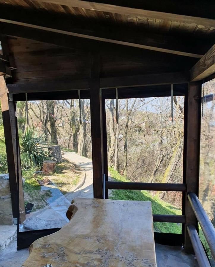 Vila Slankamenka Stari Slankamen Bagian luar foto